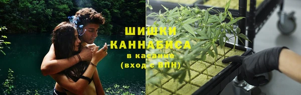 ПСИЛОЦИБИНОВЫЕ ГРИБЫ Вязники