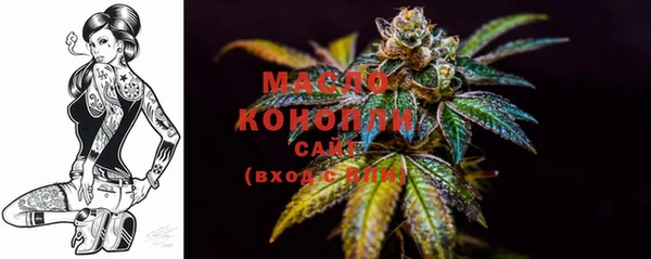 дживик Володарск