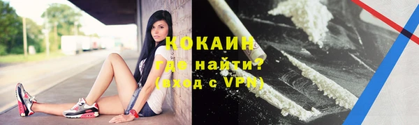ПСИЛОЦИБИНОВЫЕ ГРИБЫ Вязники