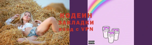 герыч Вяземский