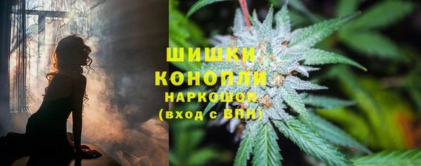 герыч Вяземский
