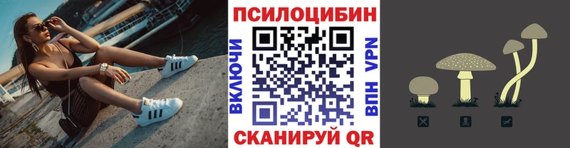 Галлюциногенные грибы Psilocybe  Сызрань 